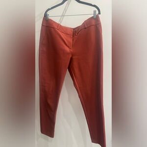 Ann Taylor LOFT Julie Skinny Pant . Size 14T
